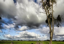 备战亚洲杯 中国U20女足将于一月份在厦门集训.